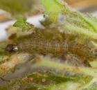 sample-gallery-thumb