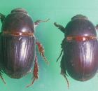 sample-gallery-thumb