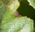 sample-gallery-thumb