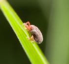 sample-gallery-thumb