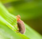 sample-gallery-thumb