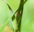 sample-gallery-thumb