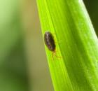 sample-gallery-thumb