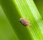 sample-gallery-thumb