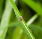 sample-gallery-thumb