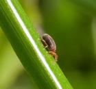 sample-gallery-thumb