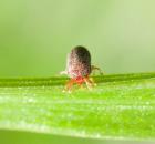 sample-gallery-thumb