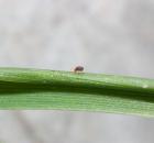 sample-gallery-thumb