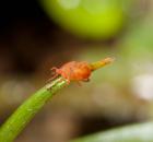 sample-gallery-thumb