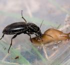 sample-gallery-thumb