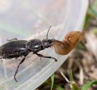 sample-gallery-thumb