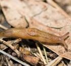 sample-gallery-thumb