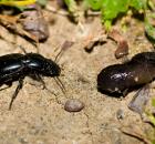 sample-gallery-thumb