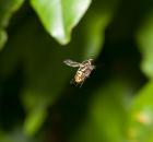 sample-gallery-thumb