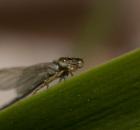 sample-gallery-thumb