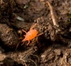 sample-gallery-thumb