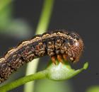 sample-gallery-thumb