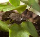 sample-gallery-thumb