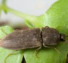 sample-gallery-thumb