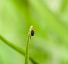 sample-gallery-thumb