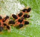 sample-gallery-thumb