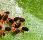 sample-gallery-thumb