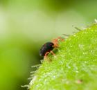 sample-gallery-thumb