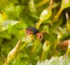 sample-gallery-thumb