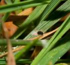 sample-gallery-thumb