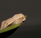 sample-gallery-thumb