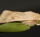sample-gallery-thumb