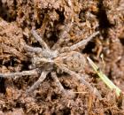 sample-gallery-thumb