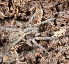 sample-gallery-thumb