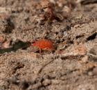 sample-gallery-thumb