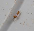 sample-gallery-thumb