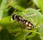 sample-gallery-thumb