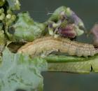 sample-gallery-thumb