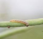 sample-gallery-thumb