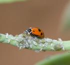 sample-gallery-thumb