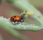 sample-gallery-thumb