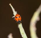 sample-gallery-thumb