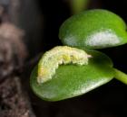 sample-gallery-thumb