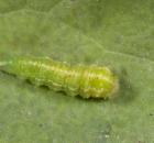 sample-gallery-thumb