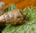 sample-gallery-thumb