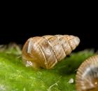 sample-gallery-thumb