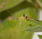 sample-gallery-thumb