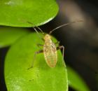 sample-gallery-thumb