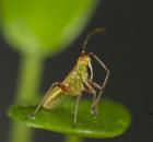 sample-gallery-thumb