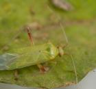 sample-gallery-thumb