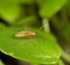 sample-gallery-thumb